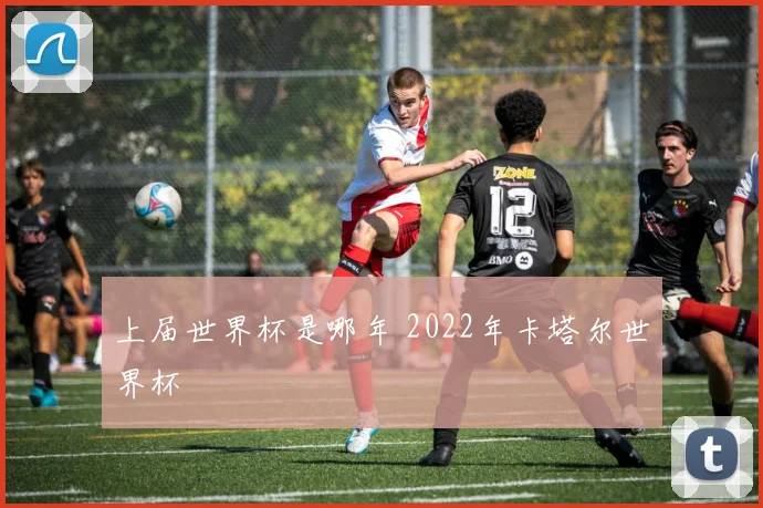 上届世界杯是哪年 2022年卡塔尔世界杯
