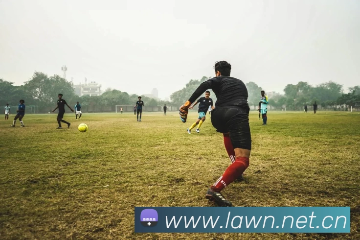 Kaiyun (中国官方网站) - 官方认证的服务平台品牌故事