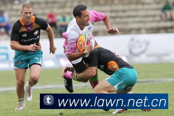 Kaiyun (中国官方网站) - 官方认证的服务平台服务体系